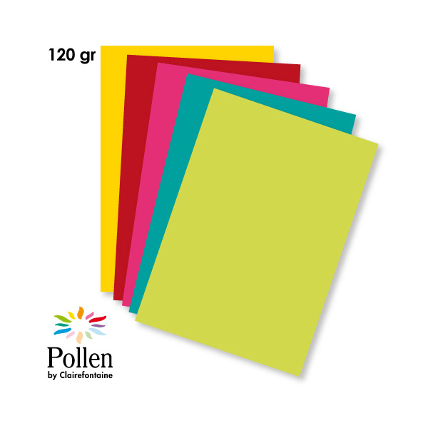 Papier A4 Couleur - 210 gr Pollen (couleur au choix) - Alibee